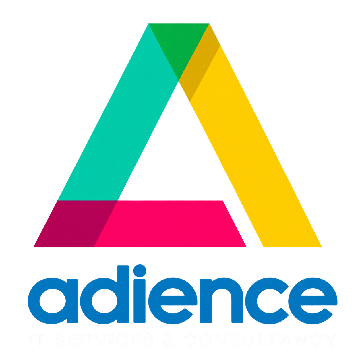 Adience IT Services & Consultancy